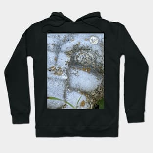 Lion's Eye Hoodie